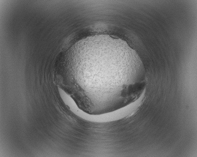 X0000055970187200508190713