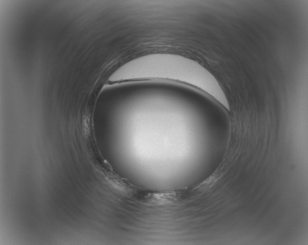 X0000055970188200508190713