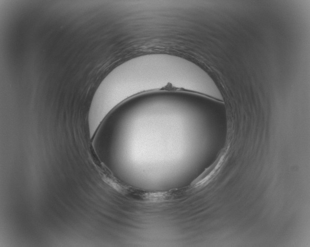 X0000055970192200508190713