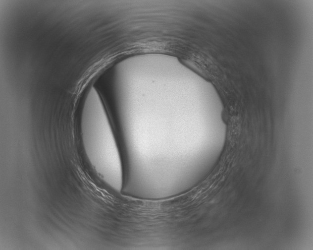 X0000055970194200508190712