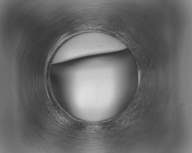 X0000055970195200508190712