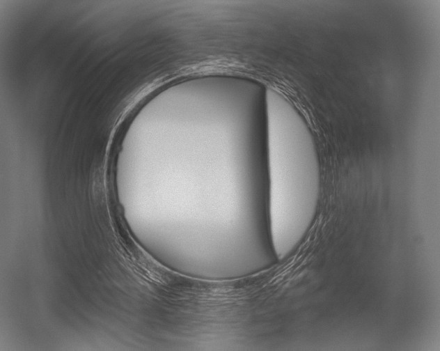 X0000055970196200508190712