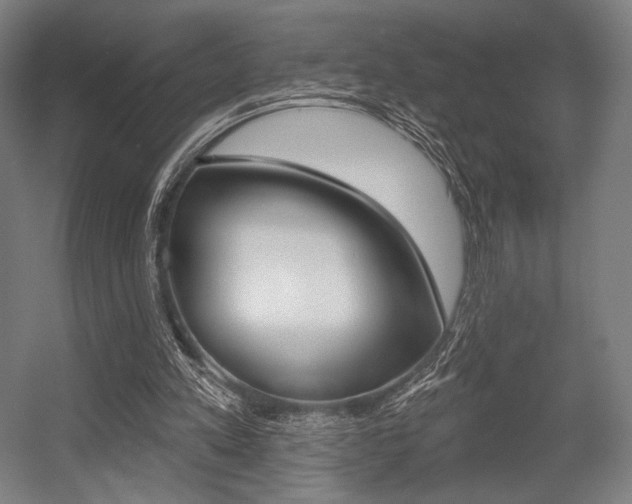 X0000055970197200508190712