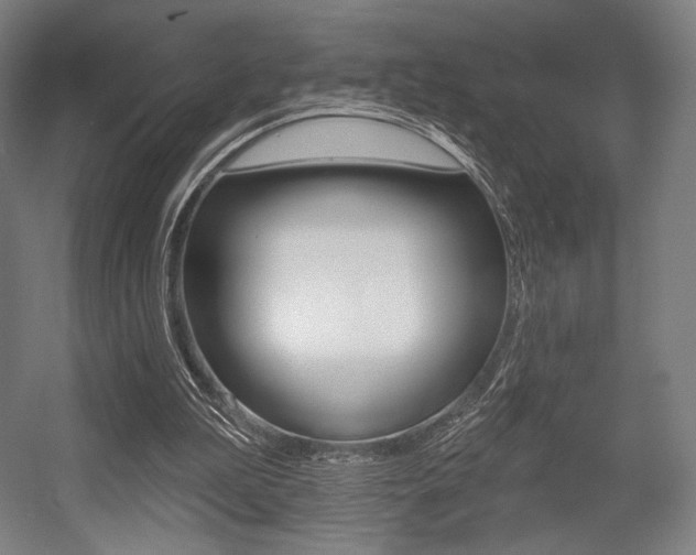 X0000055970199200508190712