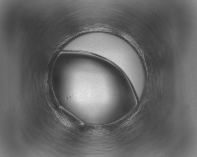 X0000055970201200508190712