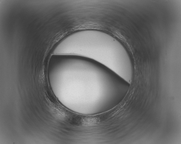 X0000055970202200508190712