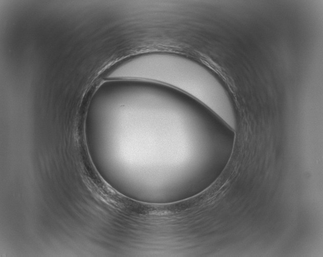 X0000055970203200508190712