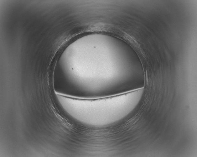 X0000055970204200508190712