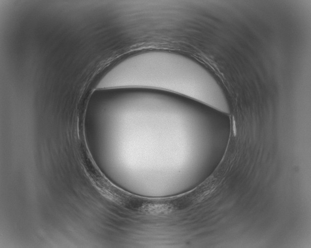 X0000055970205200508190712