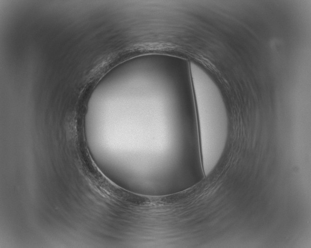 X0000055970207200508190712