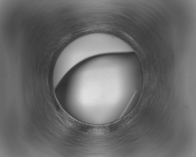 X0000055970209200508190712