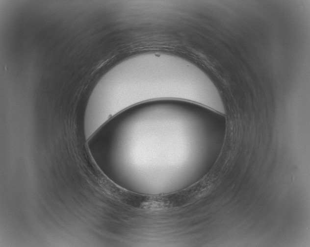 X0000055970211200508190712