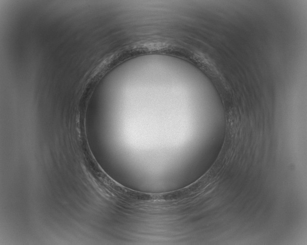 X0000055970212200508190712