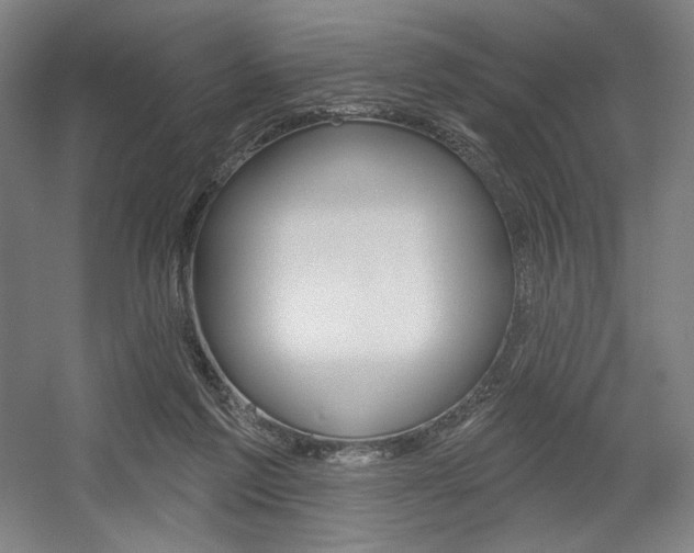 X0000055970213200508190712