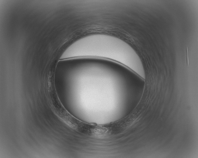 X0000055970215200508190712