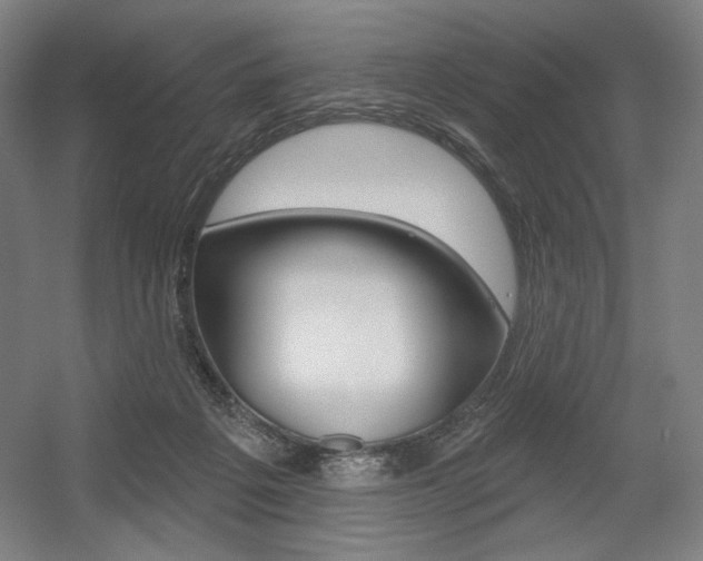 X0000055970217200508190712