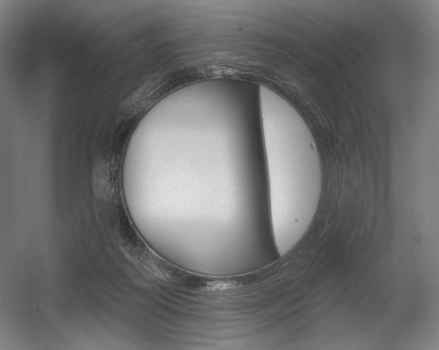 X0000055970218200508190712