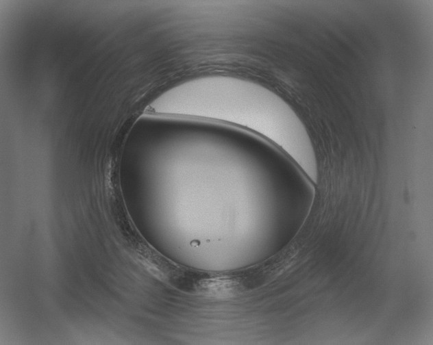 X0000055970219200508190712
