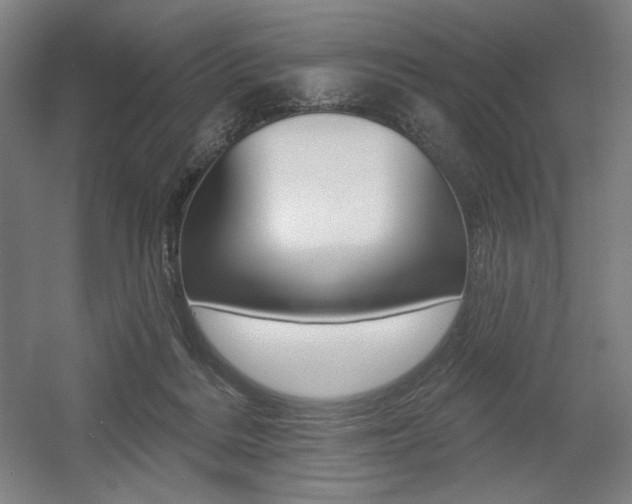 X0000055970220200508190712
