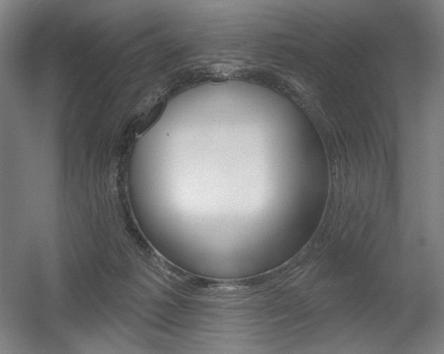 X0000055970221200508190712