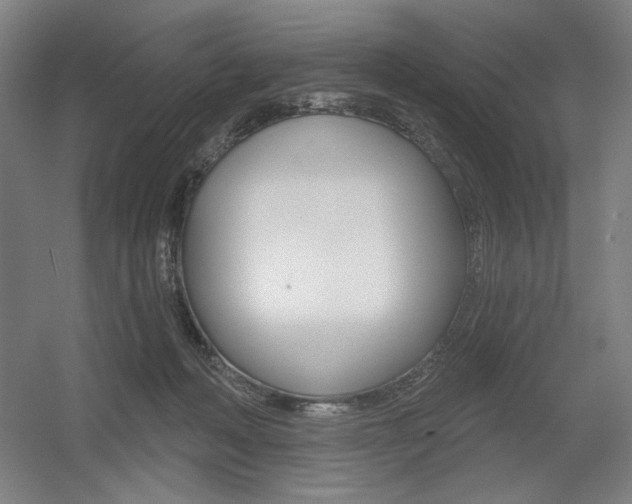 X0000055970222200508190711
