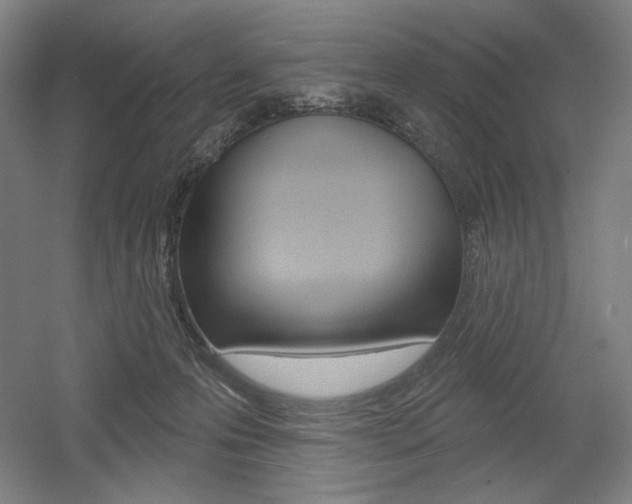 X0000055970223200508190711