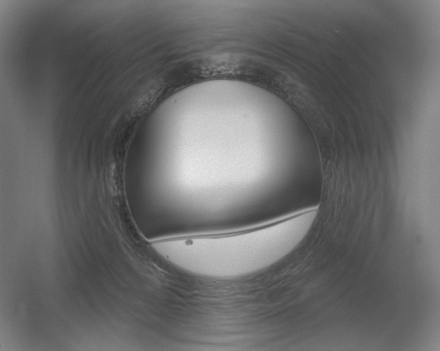 X0000055970224200508190711