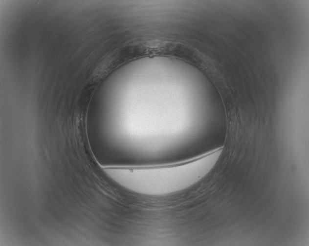 X0000055970225200508190711