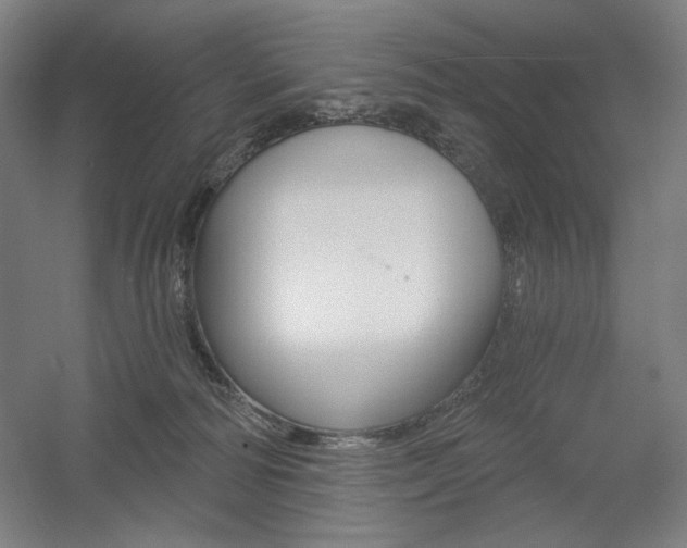 X0000055970226200508190711