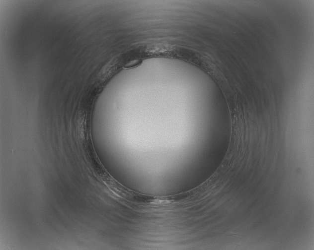 X0000055970227200508190711