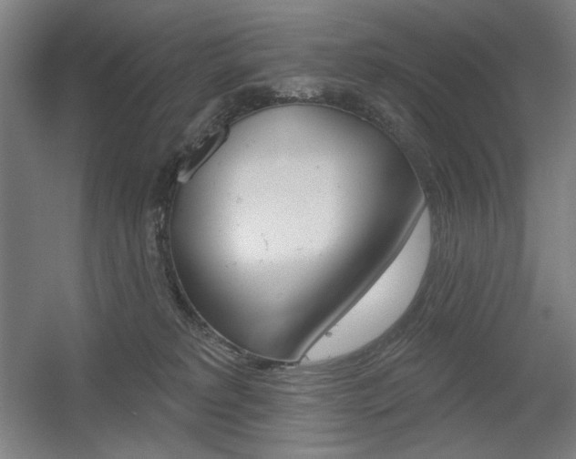 X0000055970229200508190711