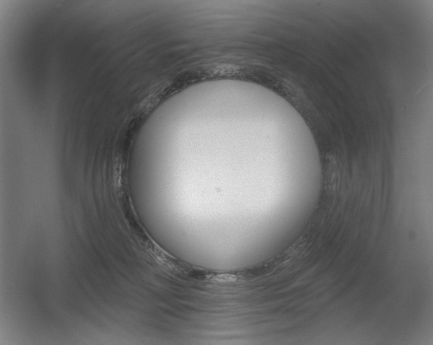 X0000055970230200508190711