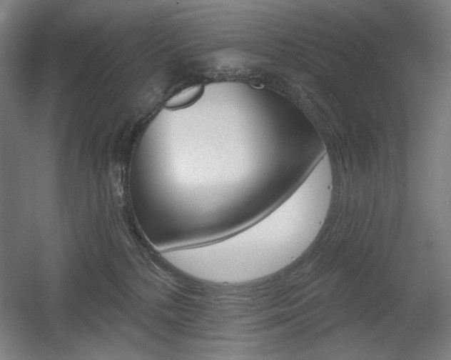 X0000055970232200508190711