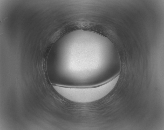 X0000055970233200508190711