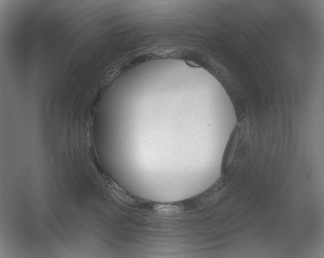 X0000055970234200508190711