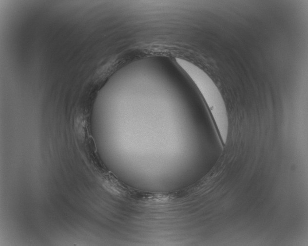 X0000055970235200508190711