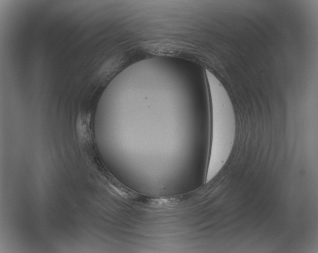 X0000055970239200508190711