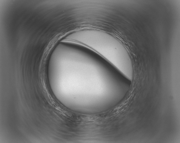 X0000055970241200508190710