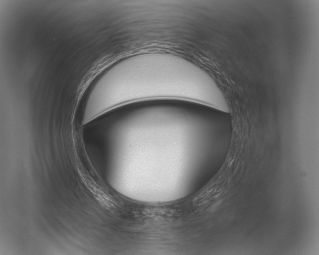 X0000055970242200508190710