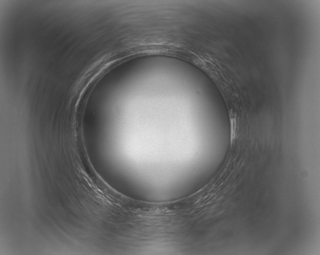 X0000055970243200508190710