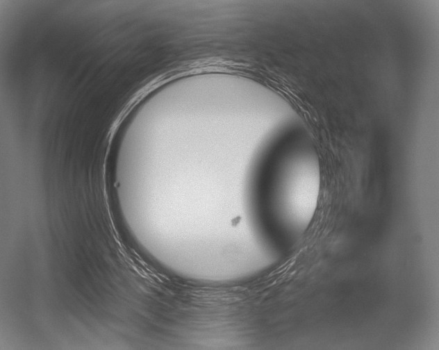 X0000055970244200508190710