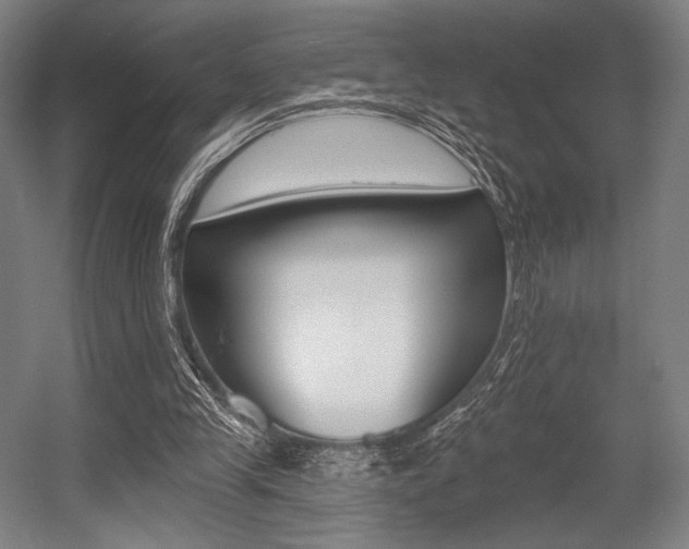 X0000055970245200508190710