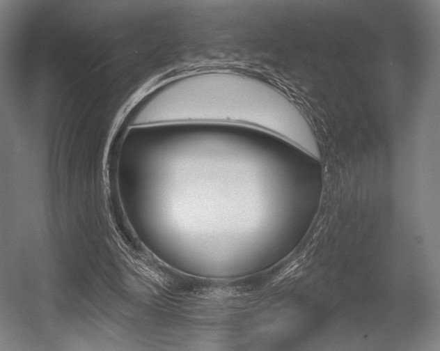 X0000055970246200508190710
