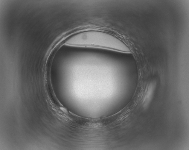 X0000055970247200508190710