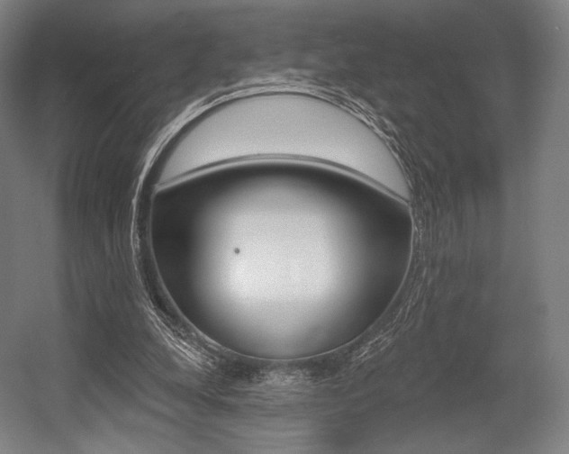 X0000055970248200508190711