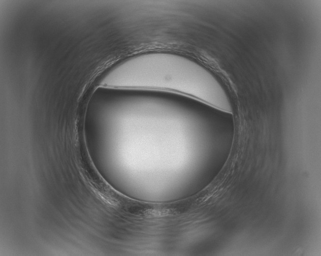 X0000055970250200508190711