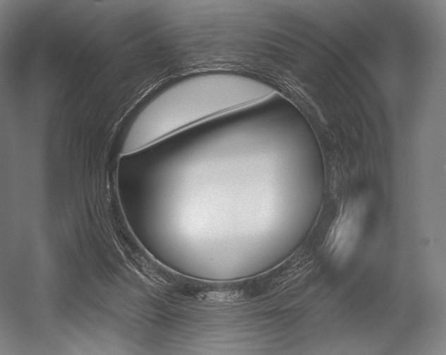 X0000055970251200508190711