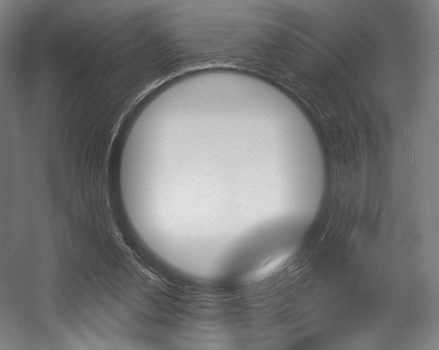 X0000055970252200508190711