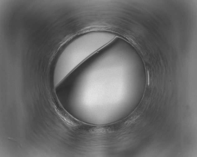 X0000055970253200508190711
