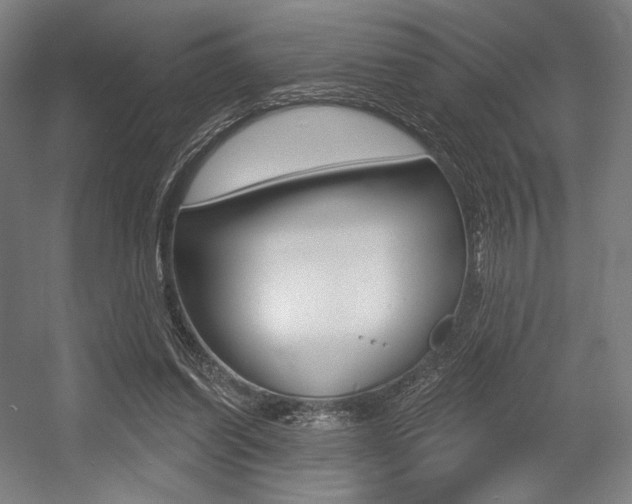 X0000055970254200508190711